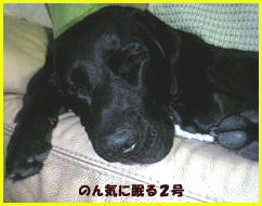 060131_1.jpg