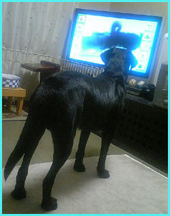 060203_1.jpg