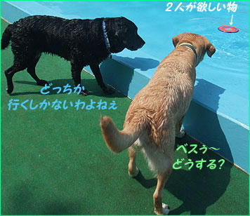 100830_7.jpg