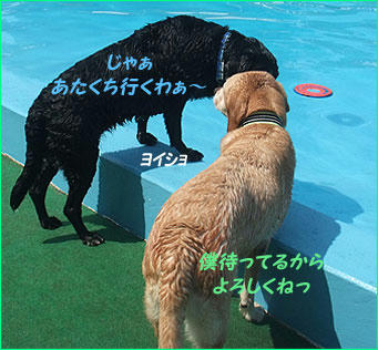 100830_8.jpg