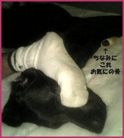 060213_1.jpg