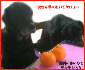 060224_1.jpg