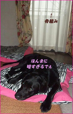 100909_3.jpg