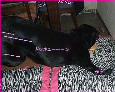 100909_7.jpg
