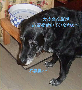 100909_11.jpg