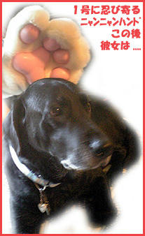 060312_1.jpg