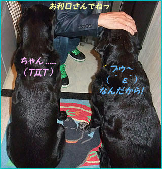 100914_6.jpg