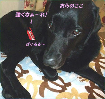 100914_11.jpg