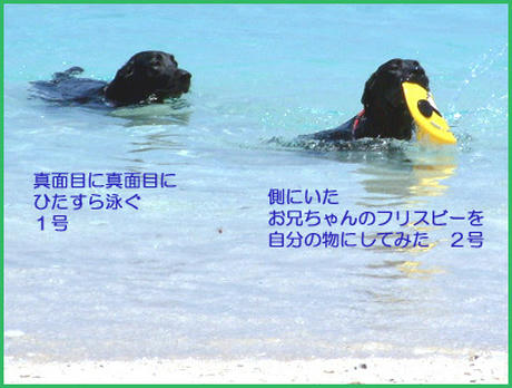 060429_1.jpg