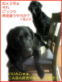 060409_1.jpg