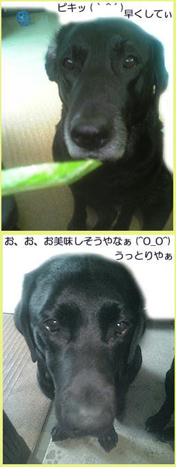 060427_1.jpg
