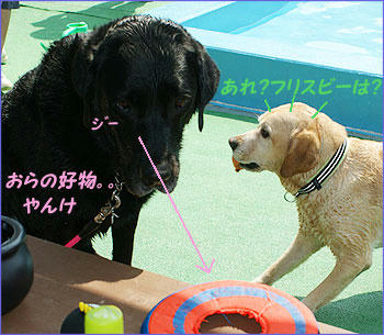 100920_8.jpg