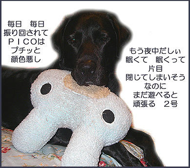 061102_1.jpg