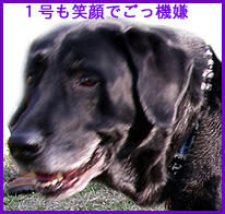 061127_2.jpg