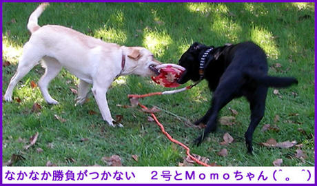 061127_3.jpg