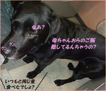 101105_6.jpg