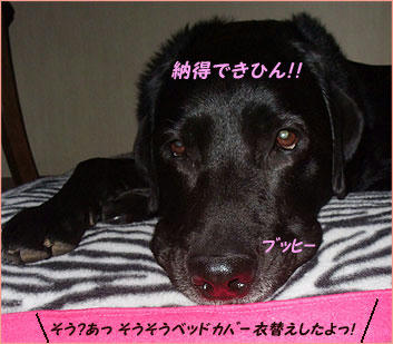 101105_7.jpg