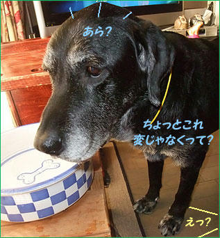 101111_1.jpg