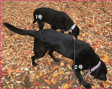 101114_1.jpg