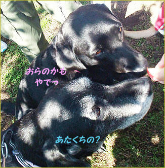 101123_6.jpg