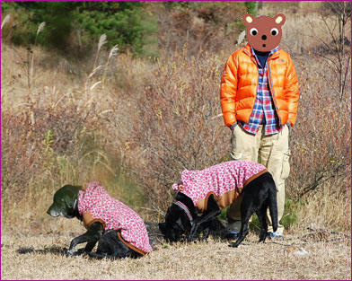101130_8.jpg