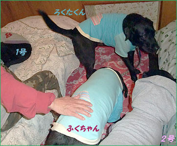 101203_3.jpg