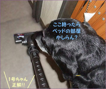 101223_6.jpg