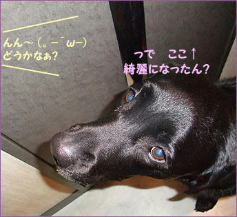 101223_9.jpg