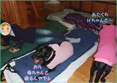 101227_2.jpg