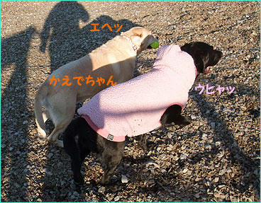 101227_4.jpg