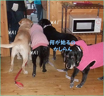 101227_7.jpg