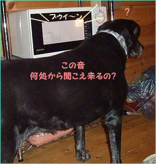 101227_8.jpg