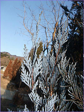 101228_1.jpg