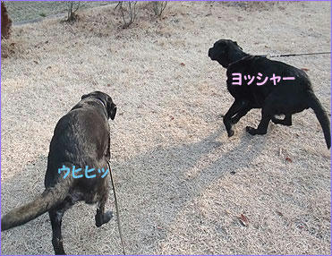 101228_3.jpg