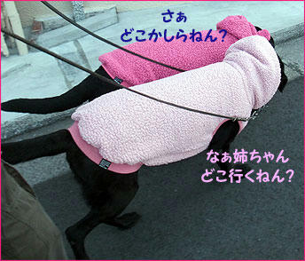 110102_4.jpg