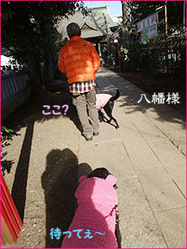 110102_5.jpg
