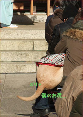 110110_5.jpg