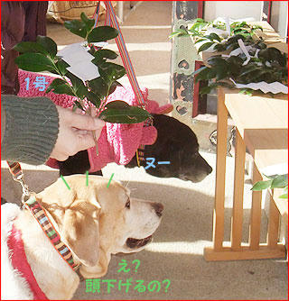 110110_6.jpg