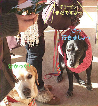 110110_7.jpg