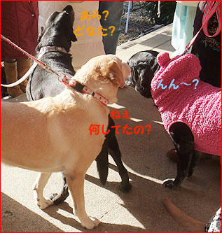 110110_8.jpg