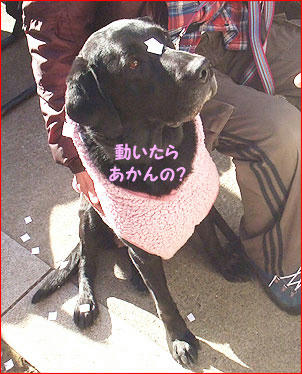 110110_9.jpg