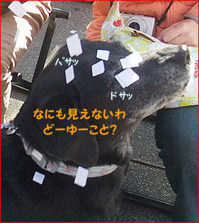 110110_12.jpg