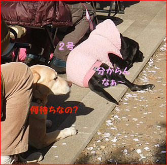 110110_4.jpg