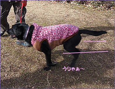 110117_7.jpg
