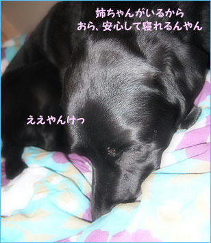 110121_7.jpg