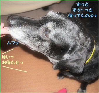 110203_7.jpg