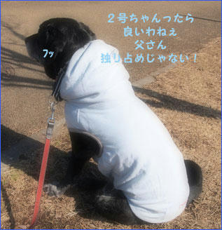 110213_6.jpg