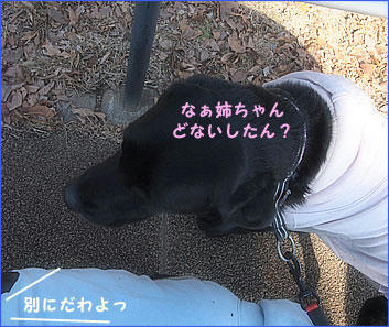 110213_9.jpg