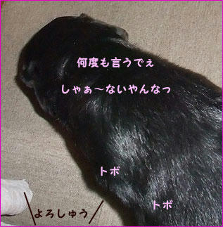110214_7.jpg