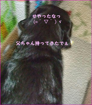 110214_9.jpg